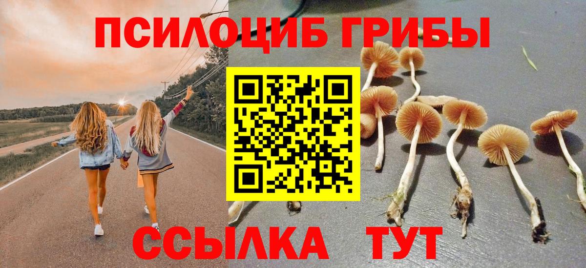 Галлюциногенные грибы Magic Shrooms  Вход с VPN  Шали  Псилоцибиновые грибы прущие грибы 